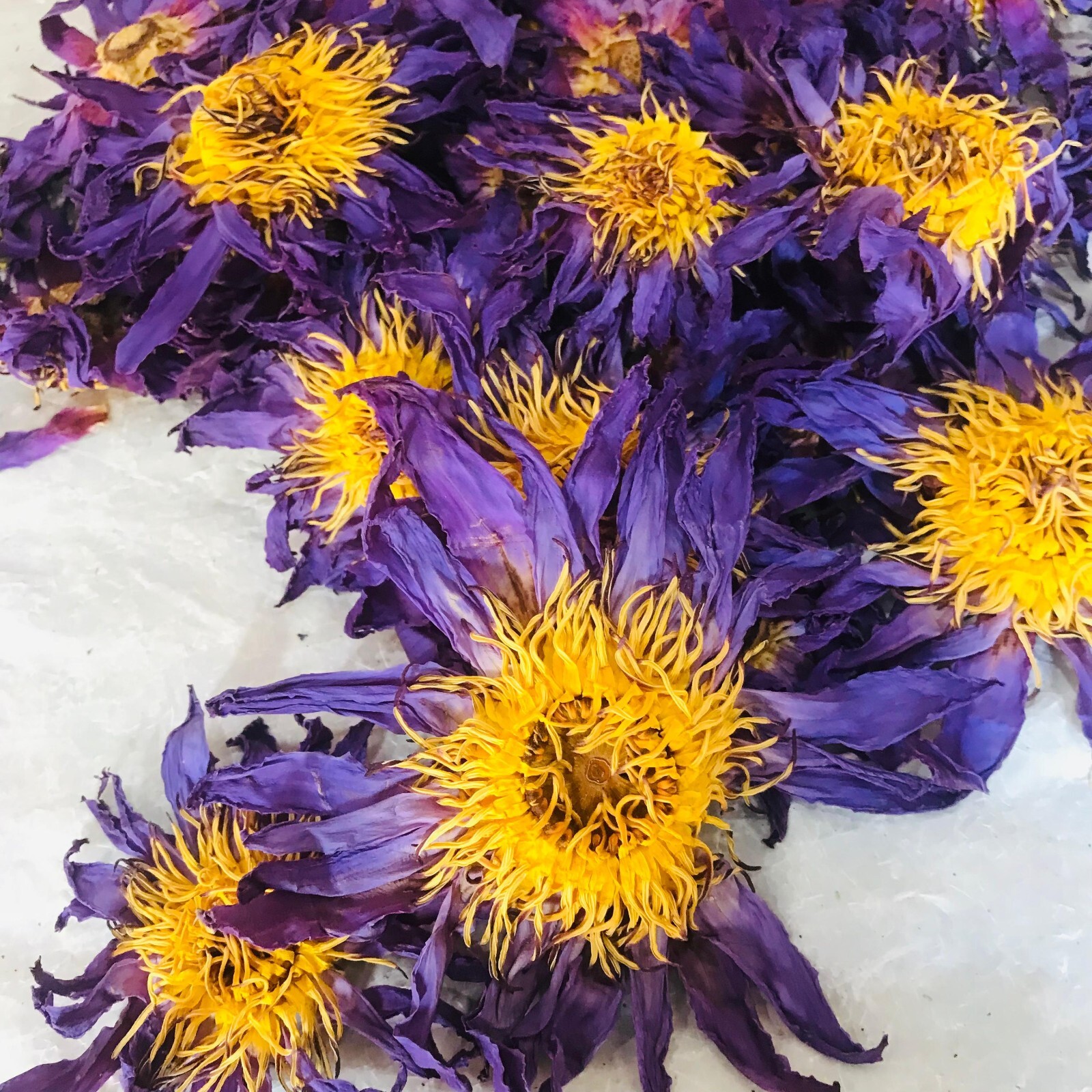 Ceylon Dried Blue Lotus 100% Hand Picked Organic Natural Herbal Flowers Tea