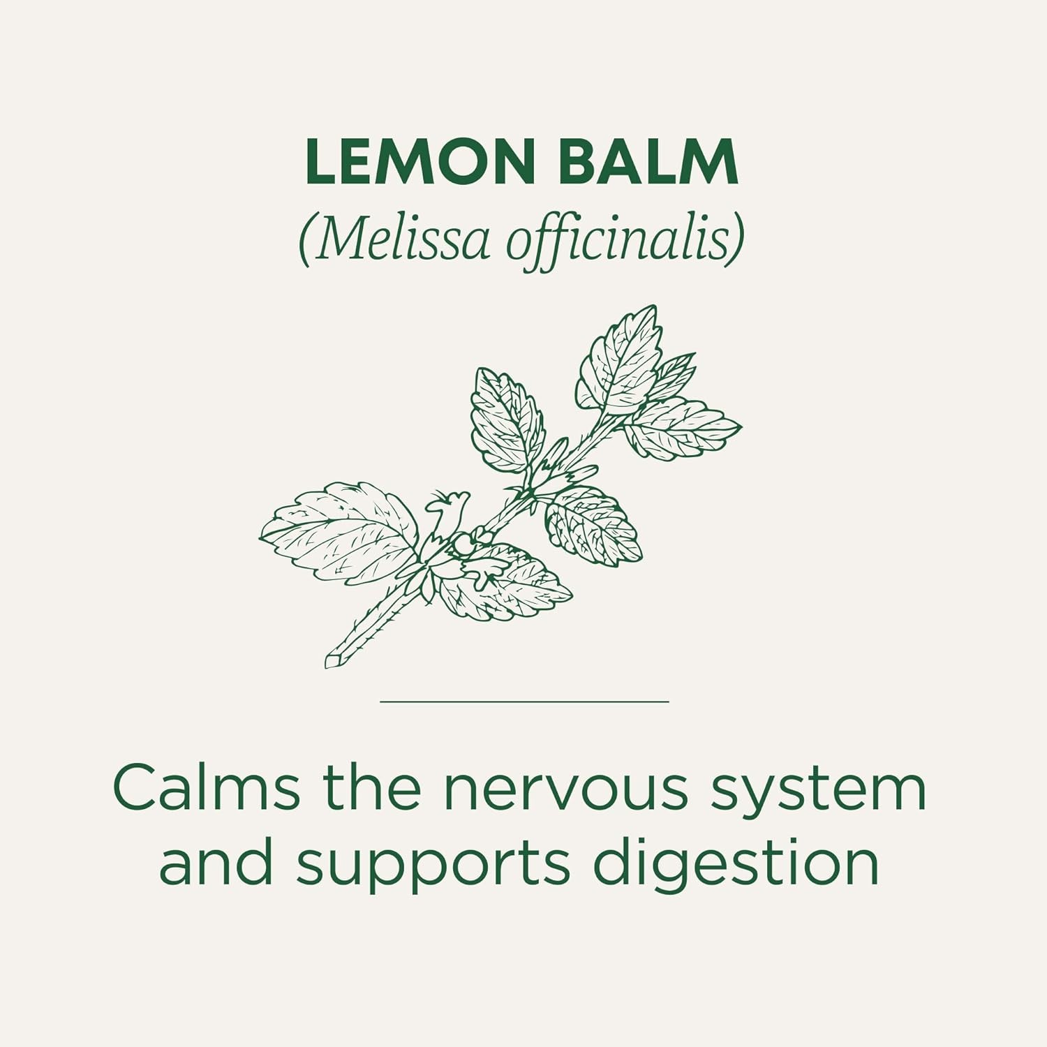 Organic, Lemon Balm – Supports Stress Relief & Digestive Health – Kosher, Non-Gm