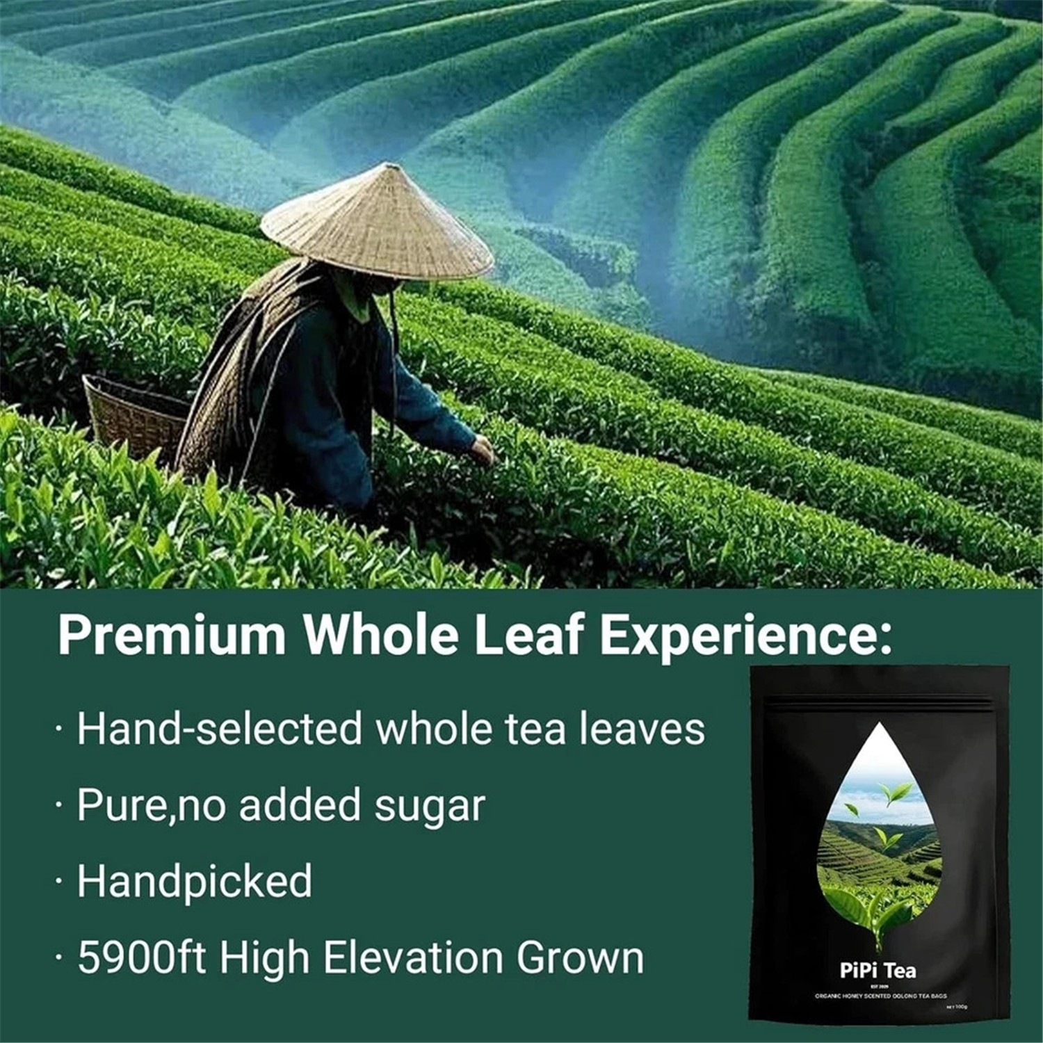 Pipi Tea Oolong,Pipi Oolong Tea,4g*20 Bags Selected Tea Leaves,Cortisol &Calming