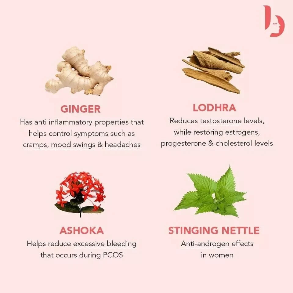 The Basics PCOS Tea 60g Free Shipping World Wide