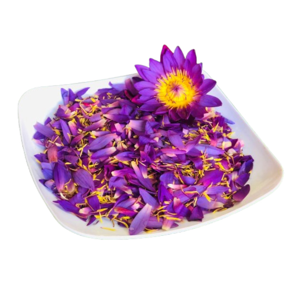 Dried Blue Lotus Flower Tea Bags (Nymphaea Caerulea) Organic Herbal Drink Tea