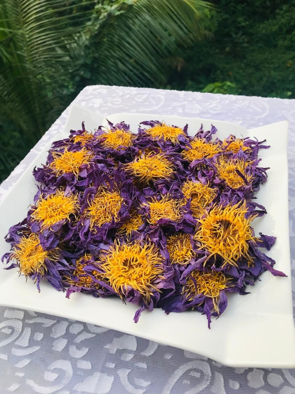 Dried Blue Lotus 2 Lb Nymphaea Caerulea 100% Hand Pick Flowers Organic Tea
