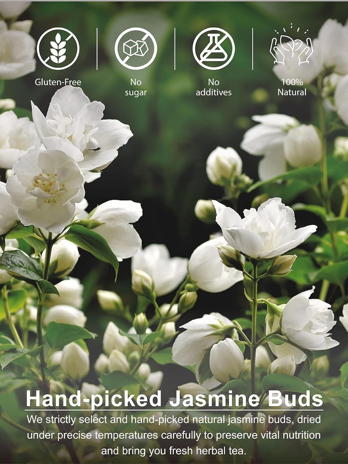 Versatile Caffeine-Free Jasmine Buds – Ideal for Tea, Cooking, and Baking Bliss