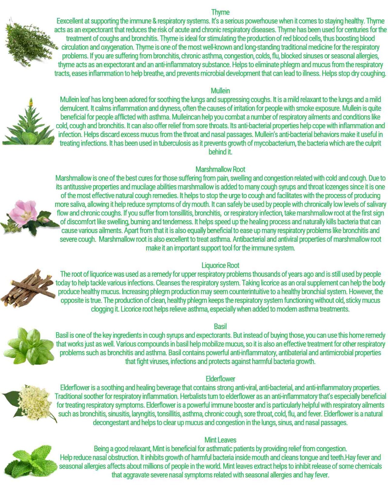 Best Tea for RESPIRATORY SYSTEM – 7 Herbs Lung Health Cough Mucus Cleansing Tea