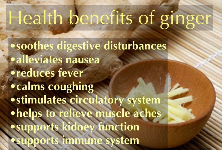 60 Ginger + Fennel Digestion Tea Bags- Acid Reflux,Nausea,Stomach Upset,& More