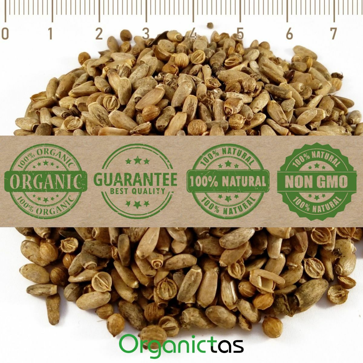 MILK THISTLE SEEDS – Organic for Tea Silybum Marianum Natural Detox 50g-400g BIO