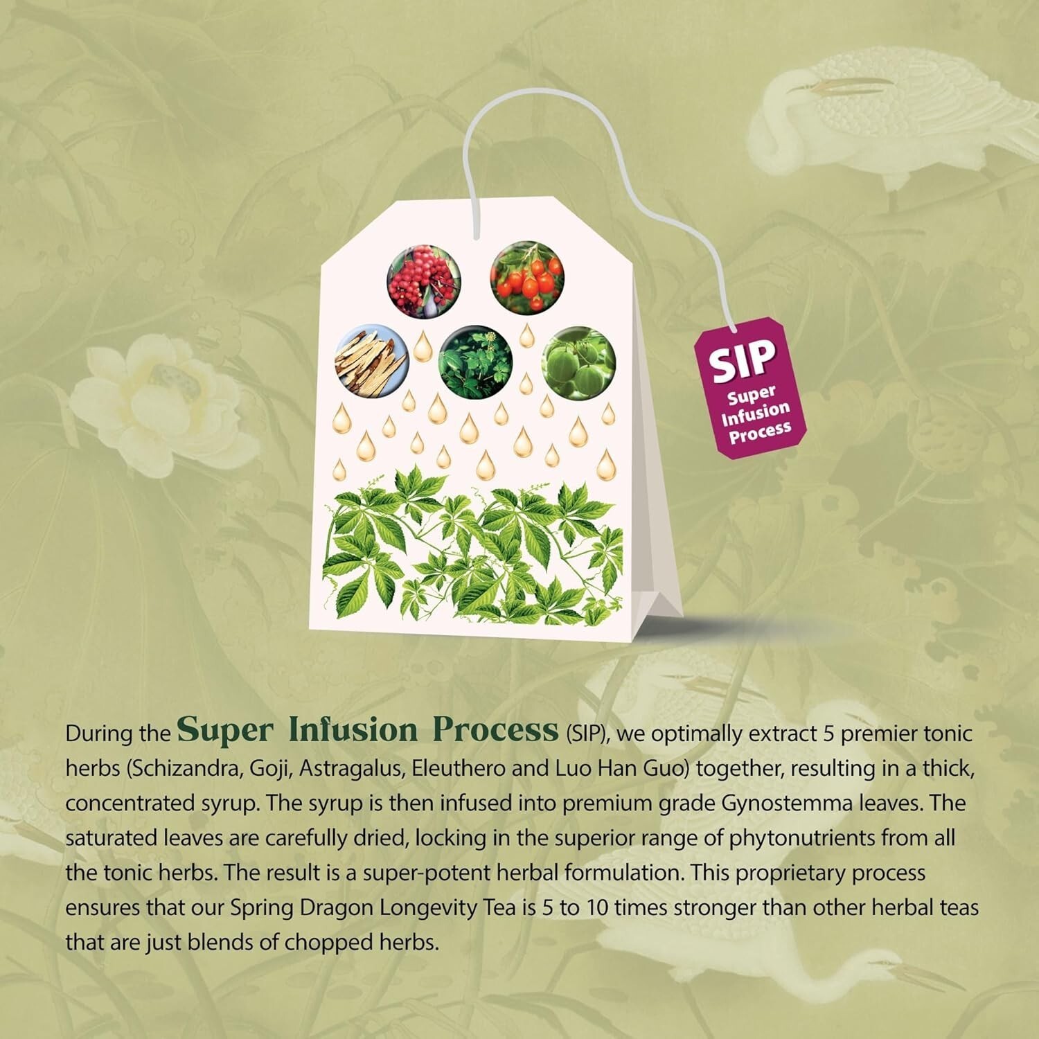 Spring Dragon Longevity Tea 20 Individually Wrapped Tea Bags Makes 60 Servi