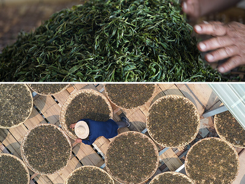 2021 Haiwan 9978 Ripe Pu-erh Tea (Batch 211) Old Comrade Shu Puer Tea 357g