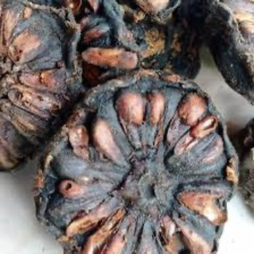 Noni Dried Fruit Tea 3 dried organic Noni Caffeine Free, 100% Natural