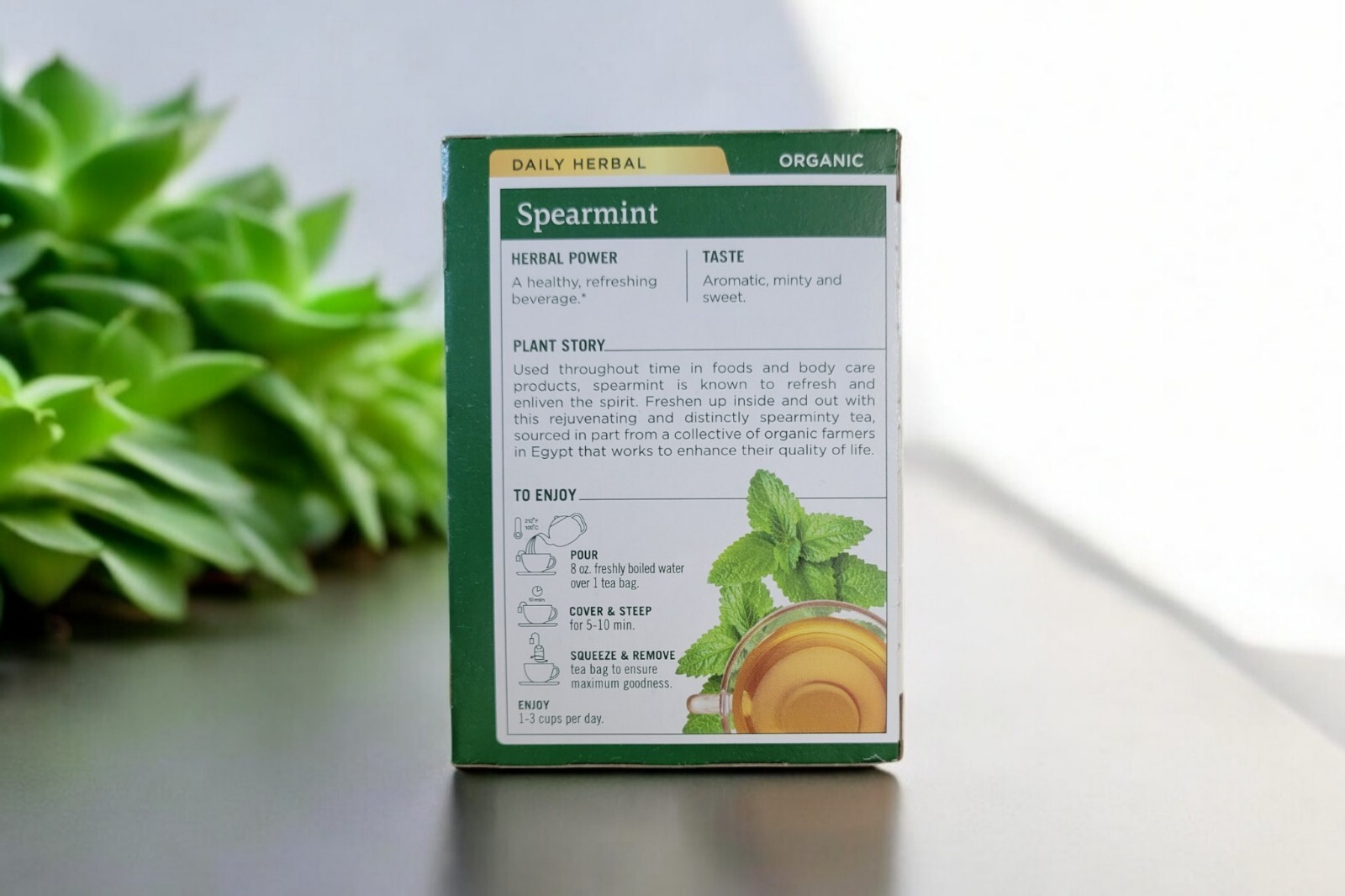 Traditional Medicinals Organic Spearmint Tea 16 Bag(S)