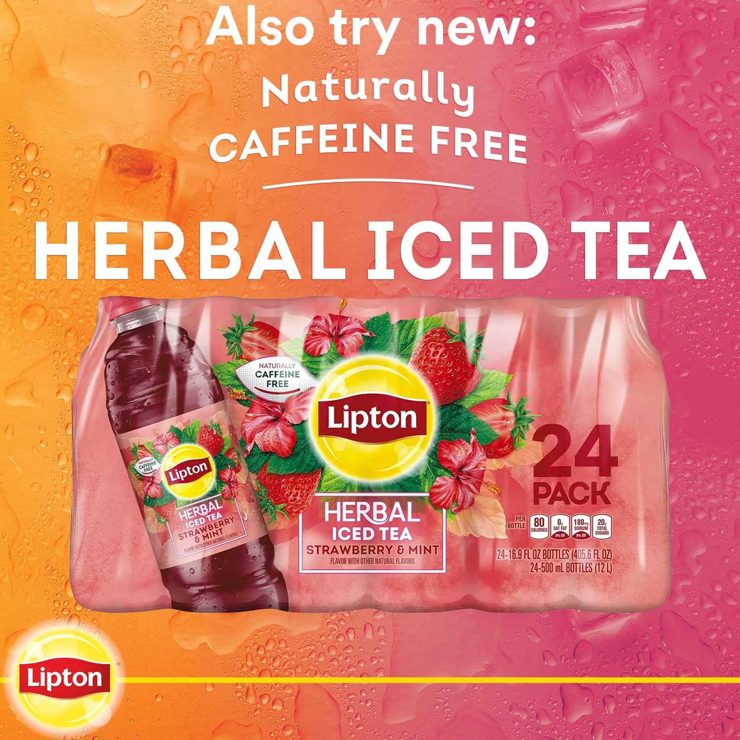 24 BOTTLES – Lipton Peach Iced Tea 16.9 fl oz FRESH!! FAST SHIP!!