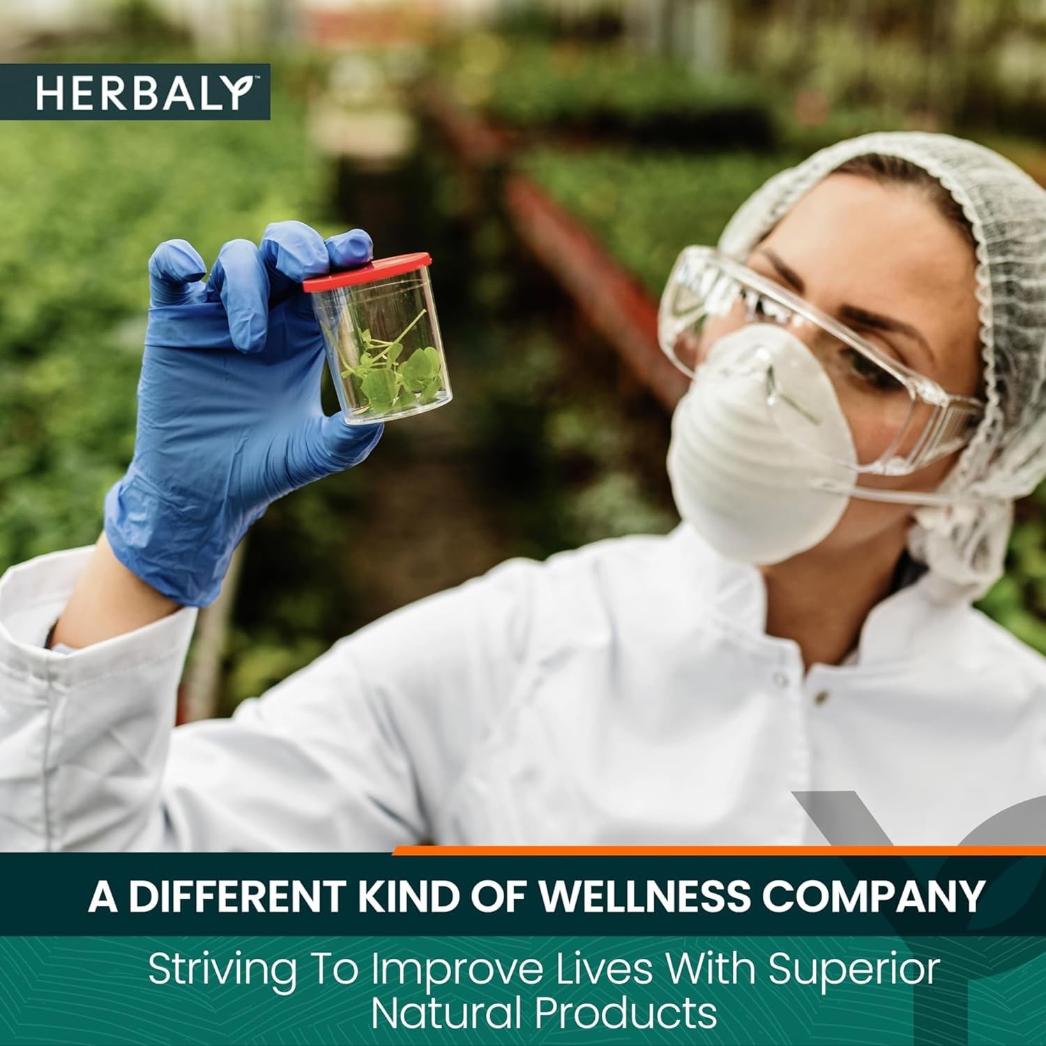 Glucose Functional Tea – Vitality & Wellness – Gymnema Sylvestre, Ceylon Cinn…