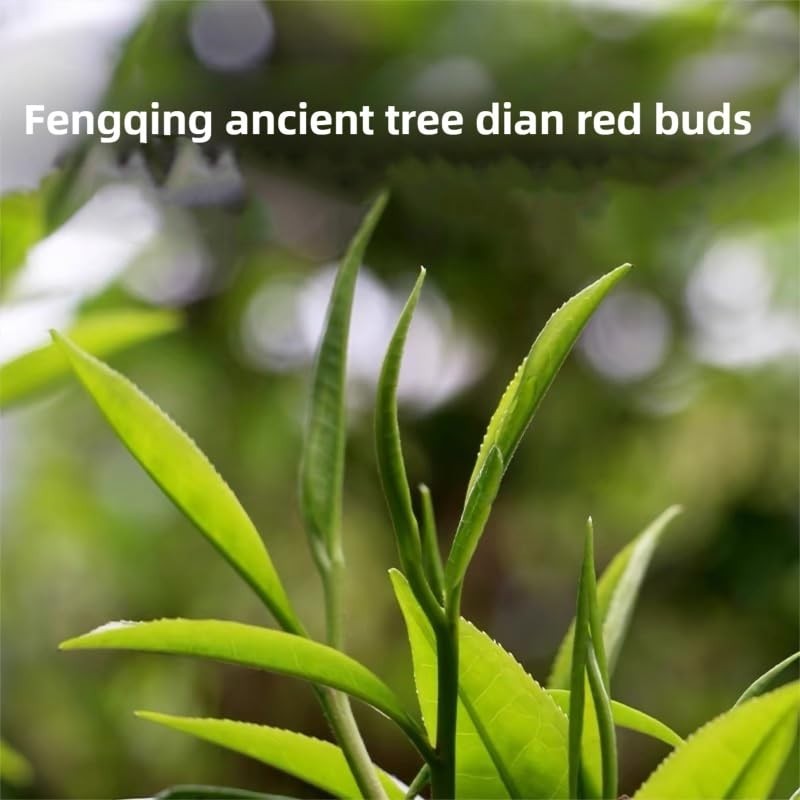 Yunnan Golden Special – Black Loose Leaf Tea – Best Chinese Black Tea – Organ…