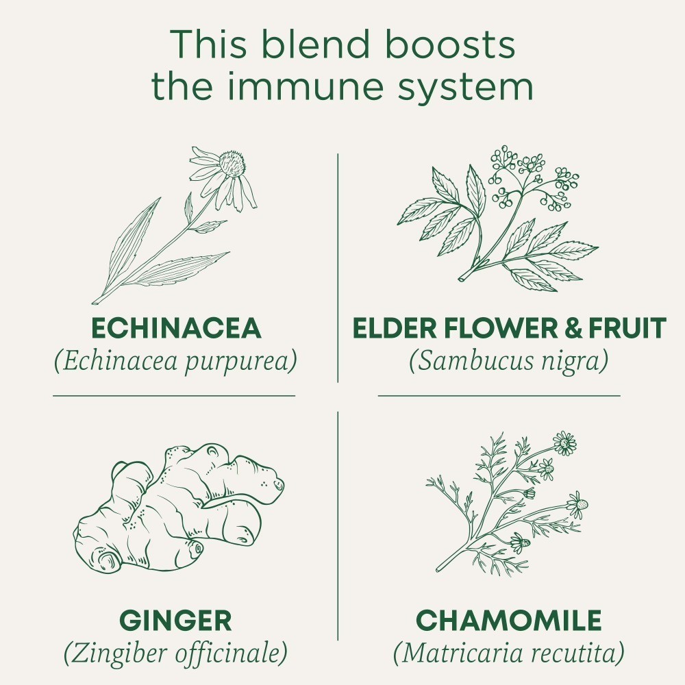 Organic Echinacea Plus Elderberry Tea Bags Herbal Supplement 4 Pack 16 Count