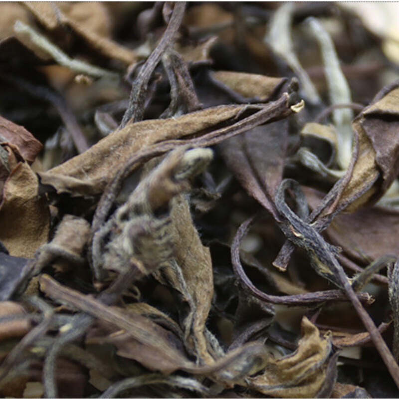 2013 Fuding Shoumei White Tea 500g Natural Herbal Bulk Aged Energy Tea