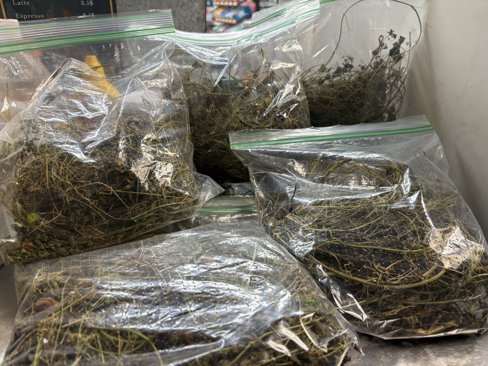 Asosi Or Dried Cerasee Leaves Momordica Charantia, Bitter Melon