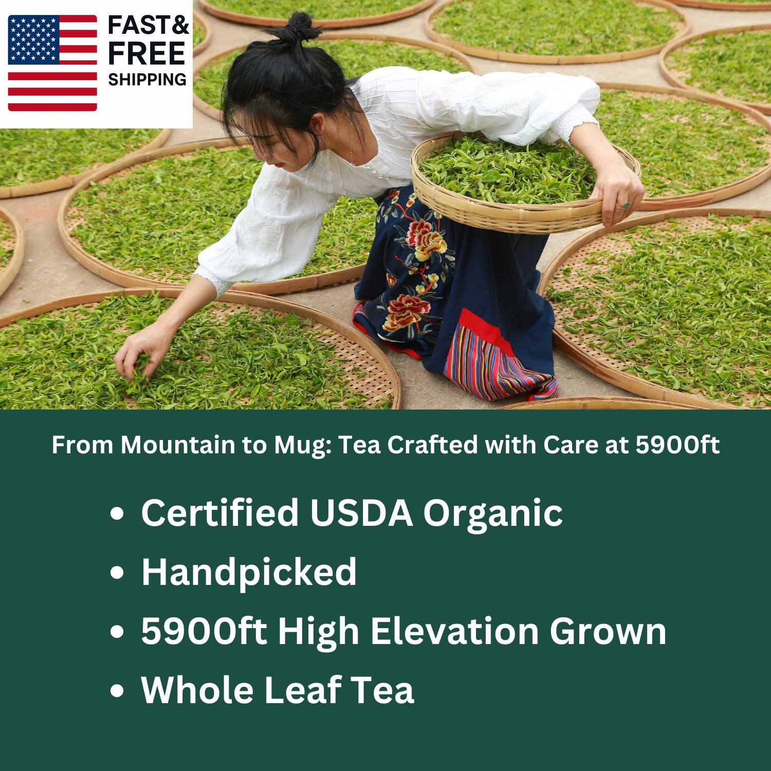 Organic Oolong Tea Bags – Whole Leaf, 20 Bags (4G Each) – Cortisol & Calming Te