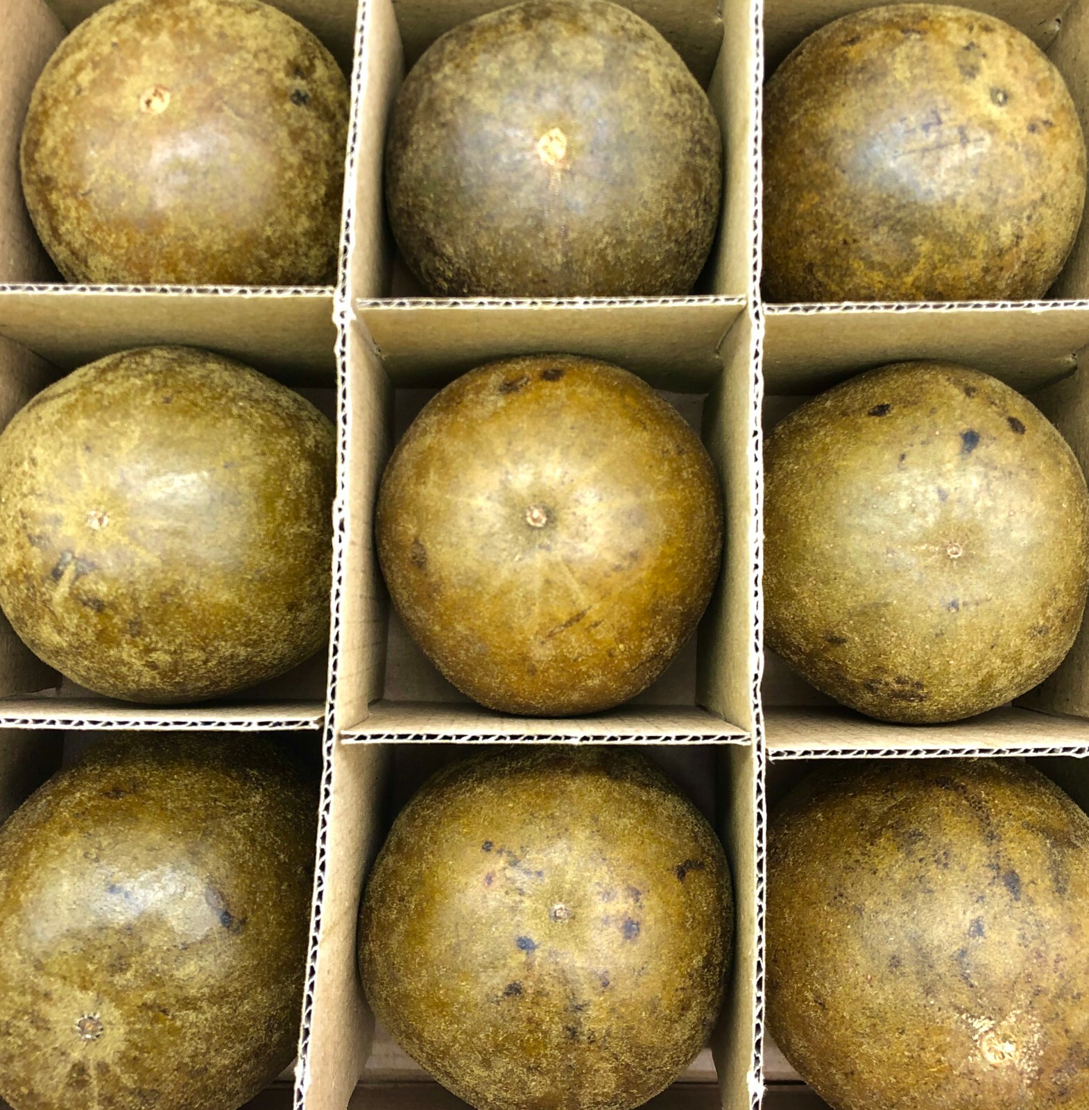 Luo Han Guo Dried Monk Fruit 20pcs 罗汉果 20个