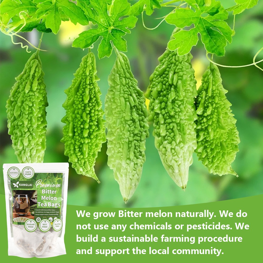 Bitter Melon Tea Bags Clears Heat Detoxifies Improve Digestion Beauty Skin Care