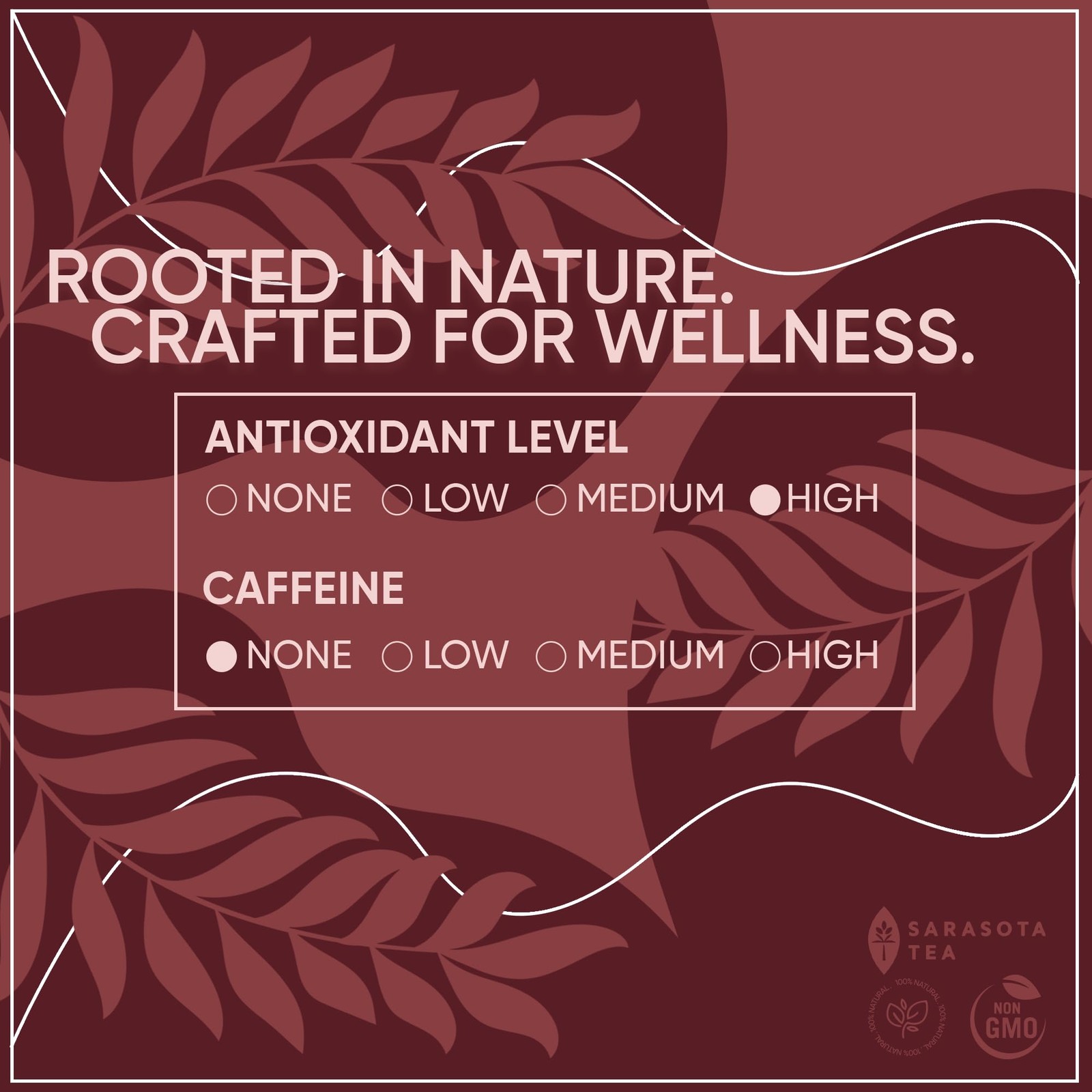 Organic Rooibos 1lb Loose Leaf Tea | 100% Pure South African Red Tea | Natura…