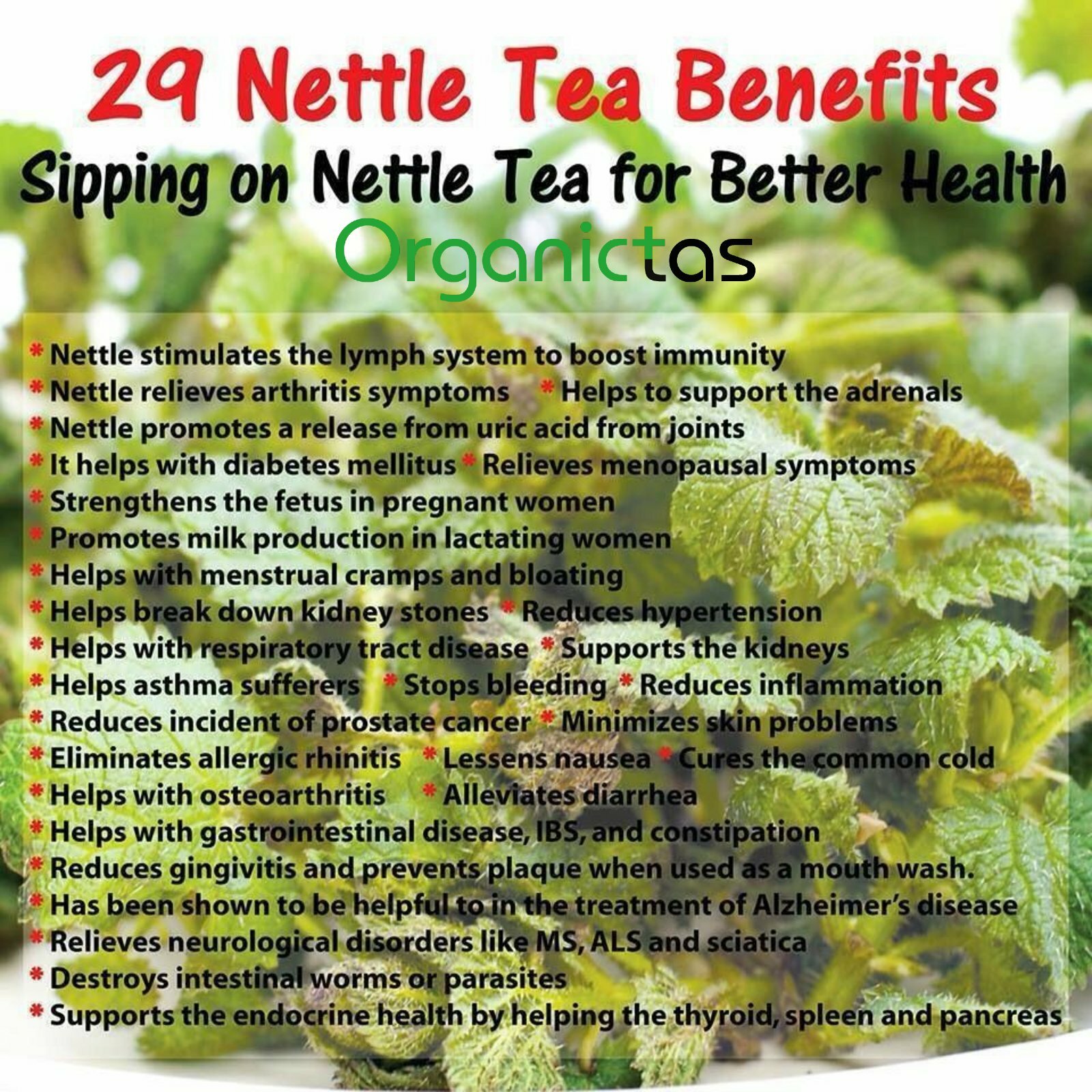 Stinging Nettle Root Tea | Premium Quality | Urtica Dioica | Loose Dried Cut Her
