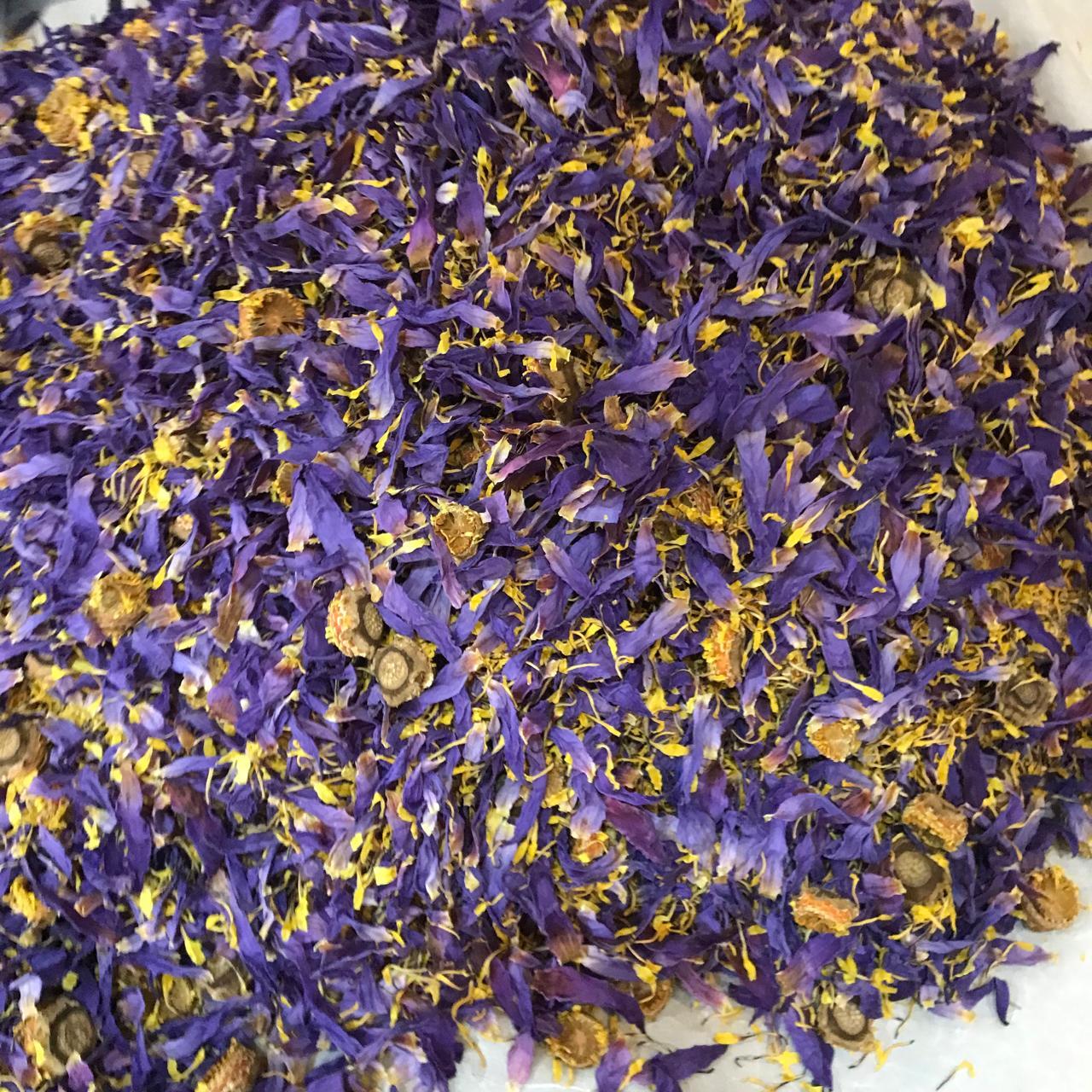 Ceylon Blue Lotus Flower Nymphaea Caerulea Dried Organic Flowers Egyptian Tea