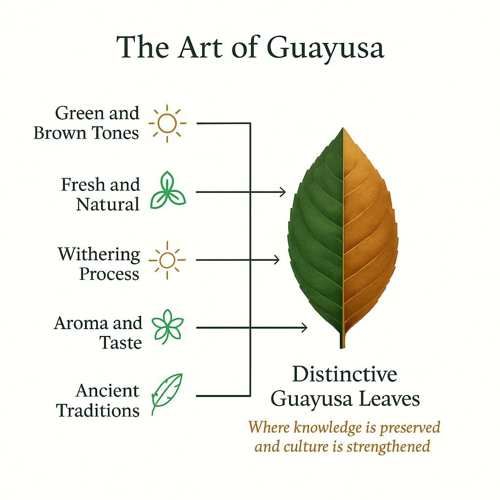 Pacha Guayusa Tea 2LB Organic Loose Leaf 66mg Caffeine Energy Blend