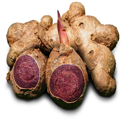 100X TEA Thai Black Ginger Drink MEN Kaempferia Parviflora Energy Strength+Track