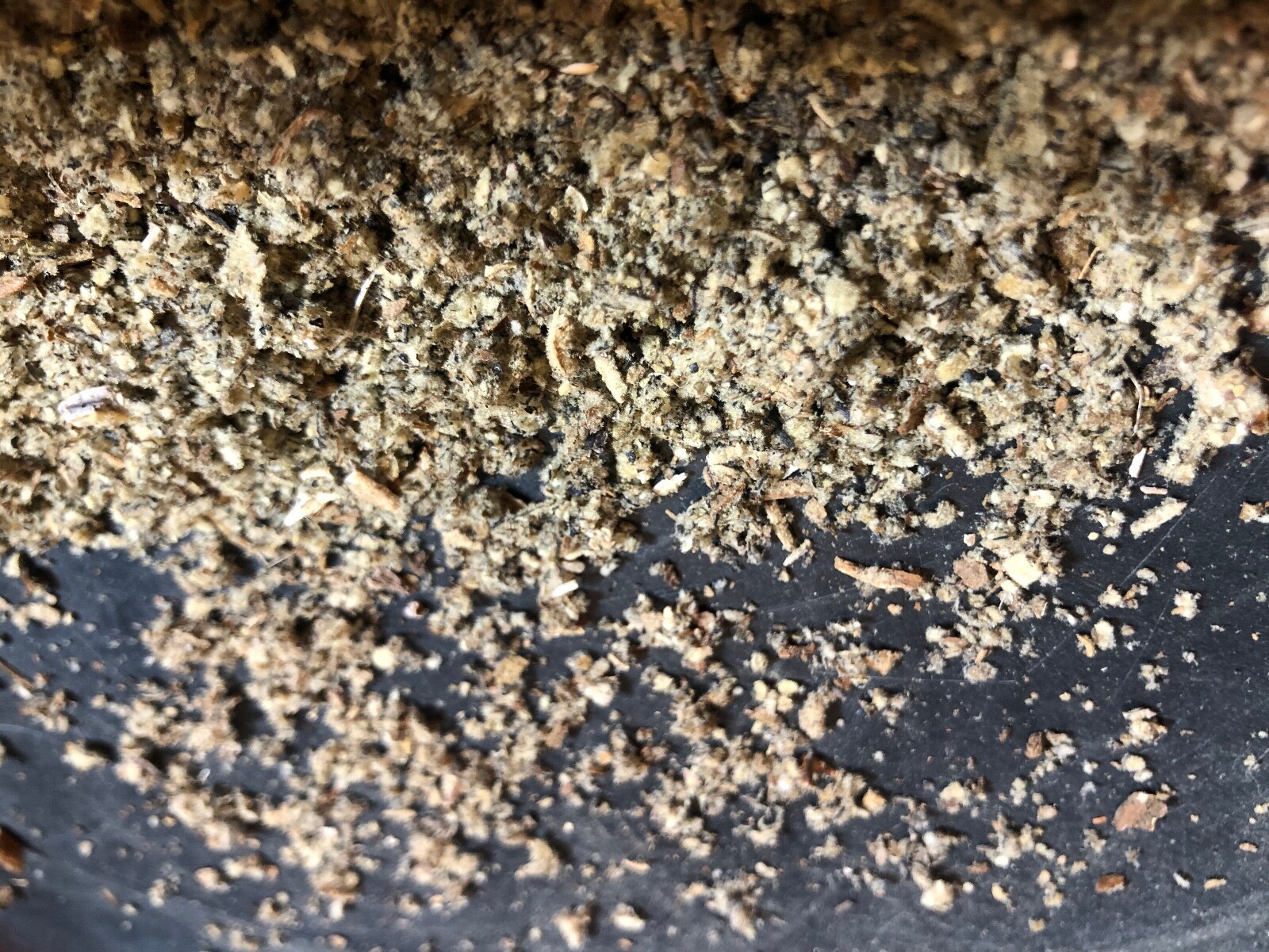 MULLEIN Cut Bulk LUNG Herb USDA Organic Wholesale – oz ounce 1 2 3 4 lb’s pound