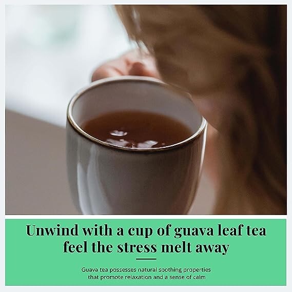 300 Guava Tea Bags, Te De hojas De Guayaba , Guava leaf Herbal Tea for digestion