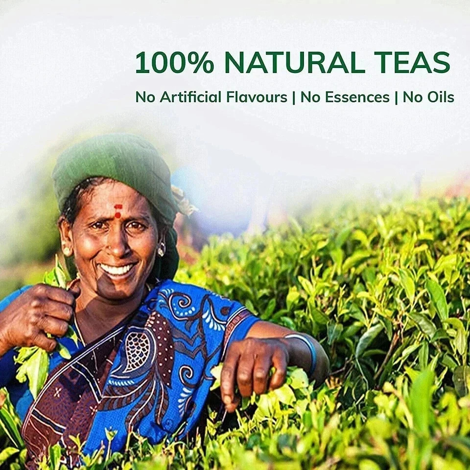 TEACURRY Nettle Tea Bags – 10 Tea Bags 20g