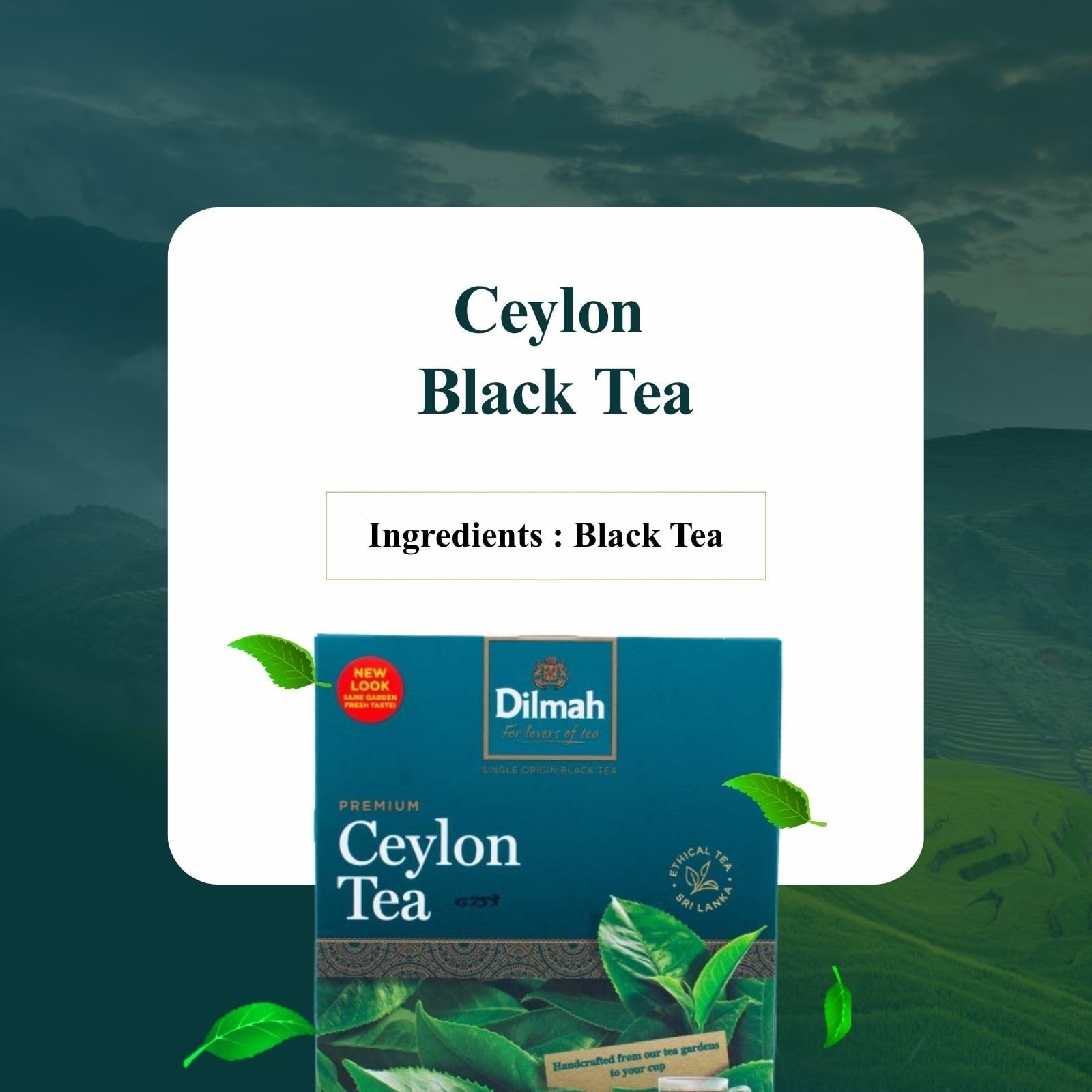 Premium Ceylon Black Tea – 100 Bags (200g) – Pure Sri Lankan Loose Leaf Tea