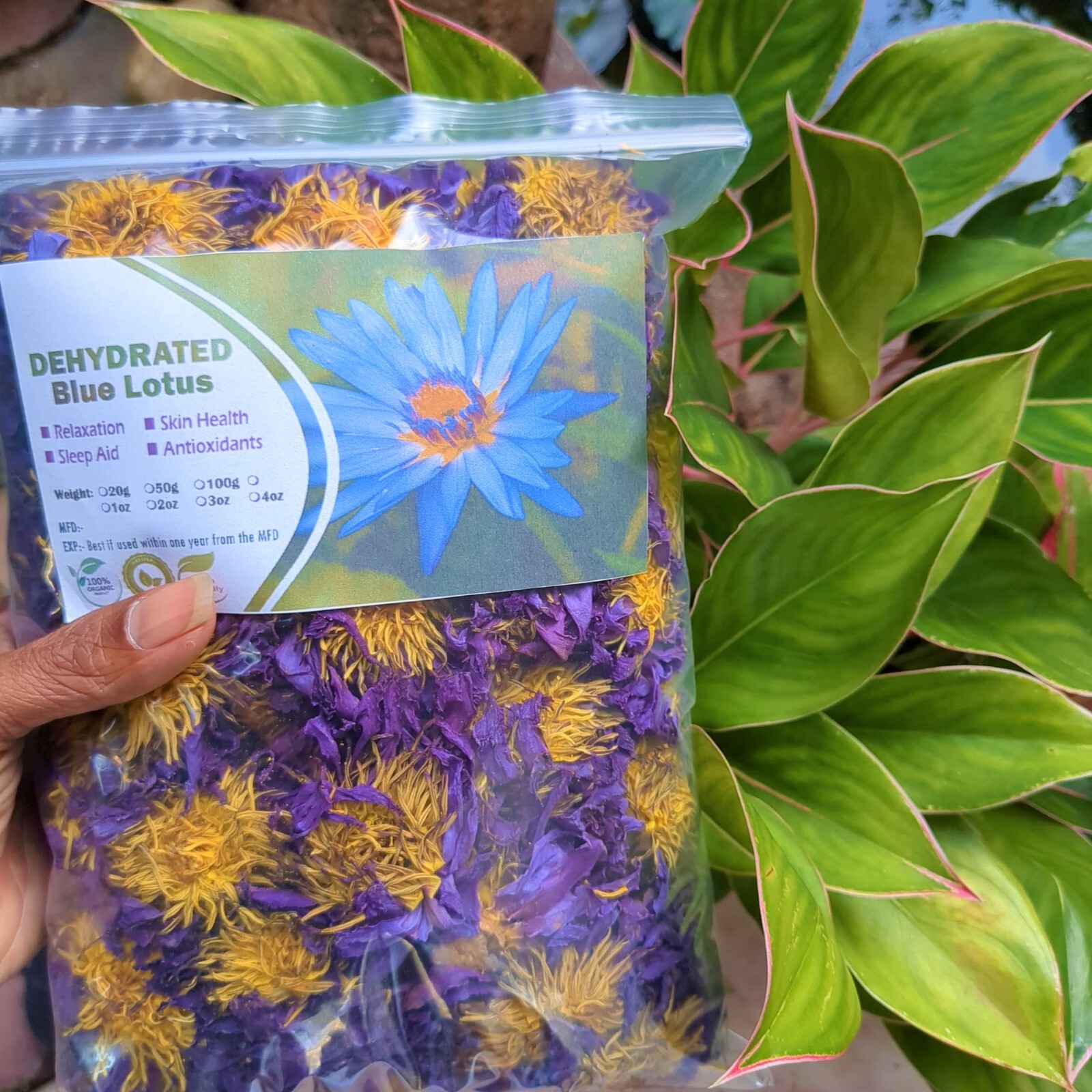 Dried Blue Lotus Nymphaea Caerulea Organic Hand Picked Pure Ceylon Herbal Flower
