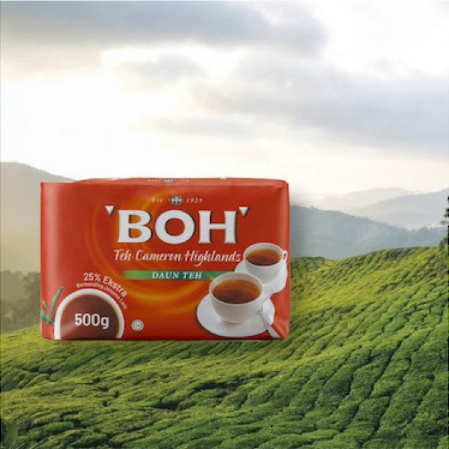 BOH TEA LEAVES MALAYSIA AUTHENTIC TASTE CAMERON HIGHLAND 500gm x2 DHL EXPRESS