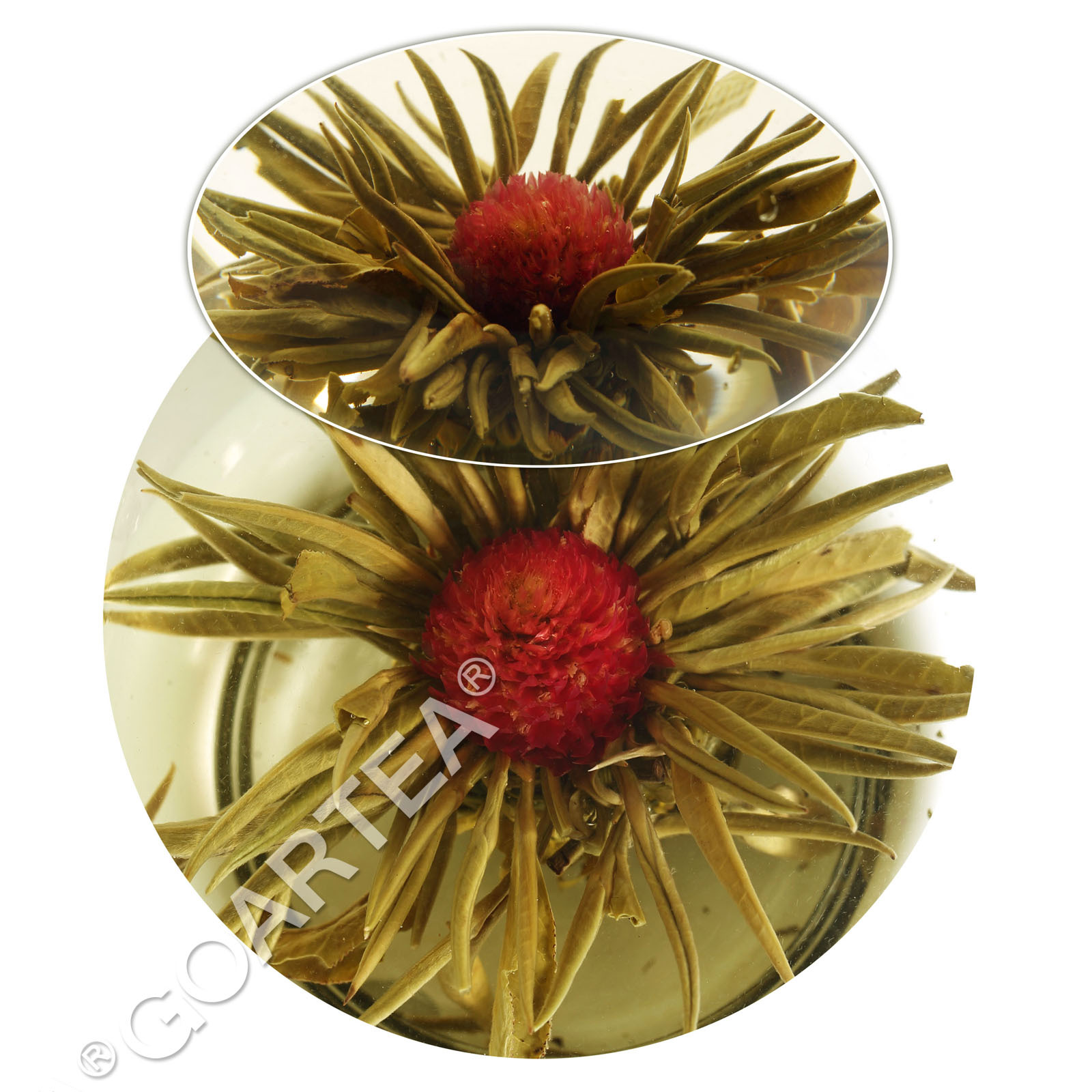 GOARTEA 12Pcs Blooming Tea Flowers Balls Blooming Artistic Flower Tea Green Tea