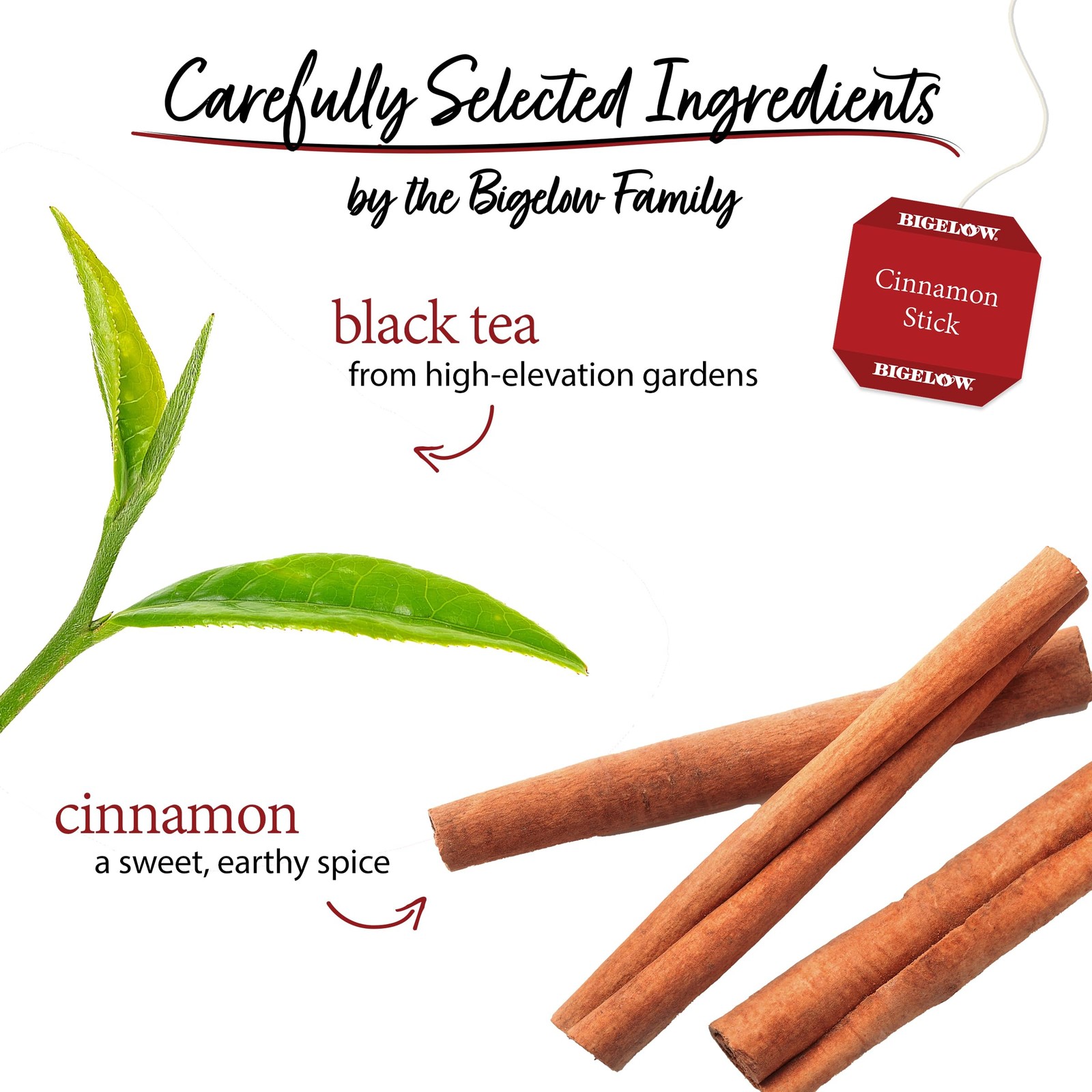 Bigelow Tea Cinnamon Stick Black Tea, Caffeinated 20 Count (Pack of 6)