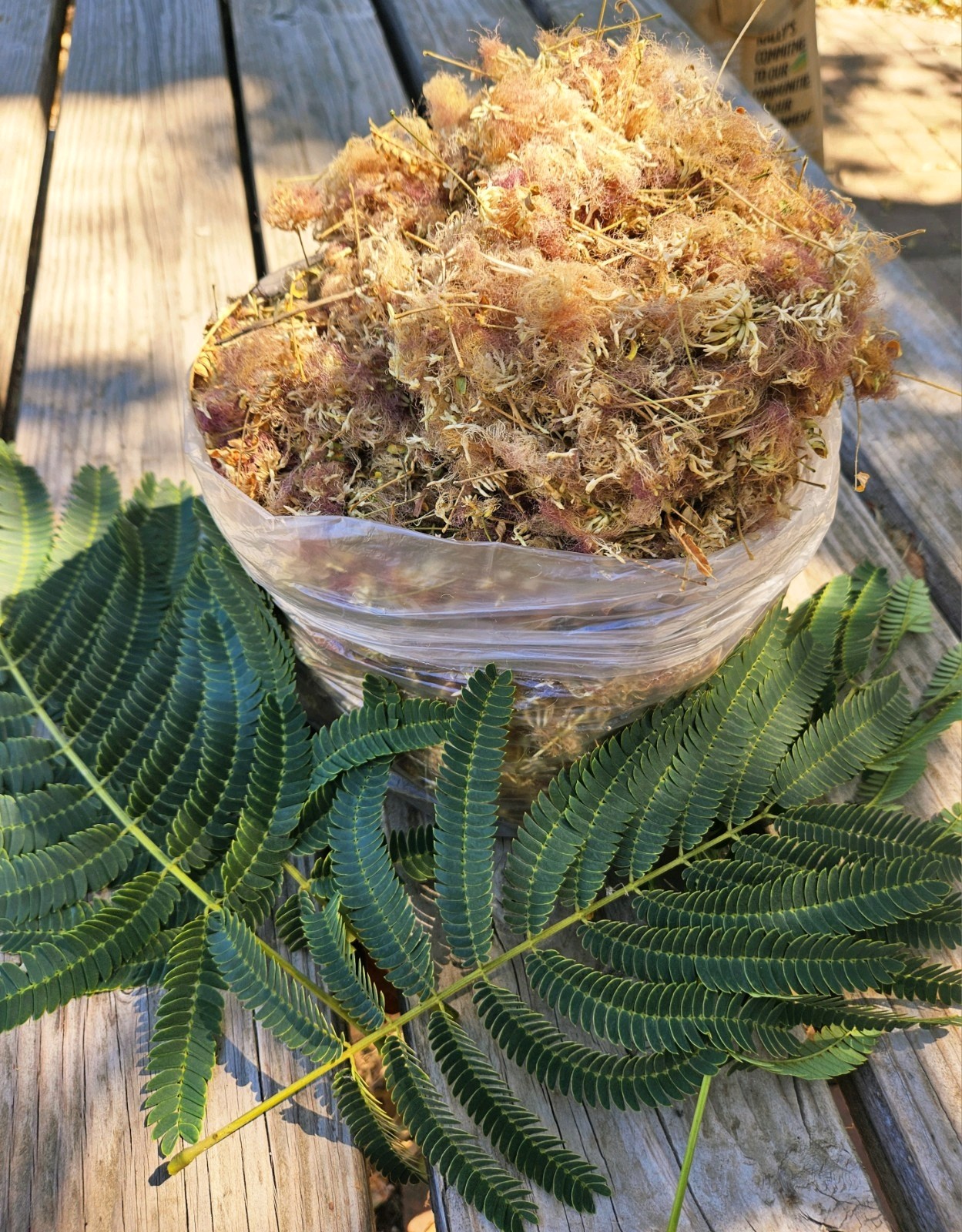 Dried Mimosa Silk Tree Flowers Edible Tea Herb Albizia Julibrissin Calming