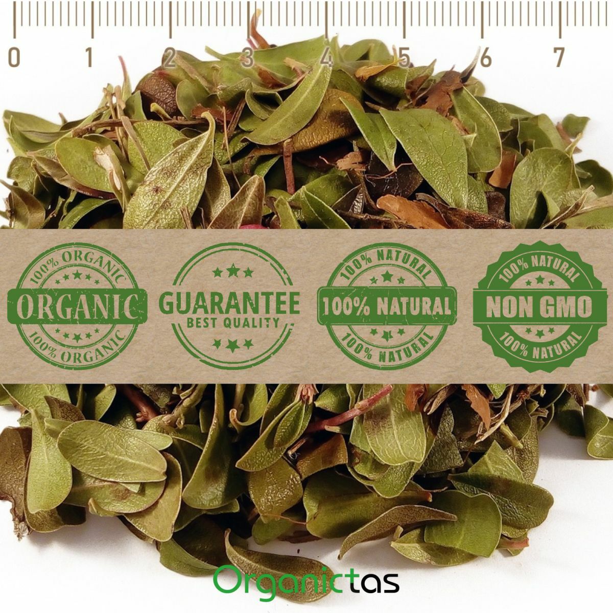 Organic BEARBERRY Tea Loose Leaf for UTI & Urinary Tract Health Premium Quality
