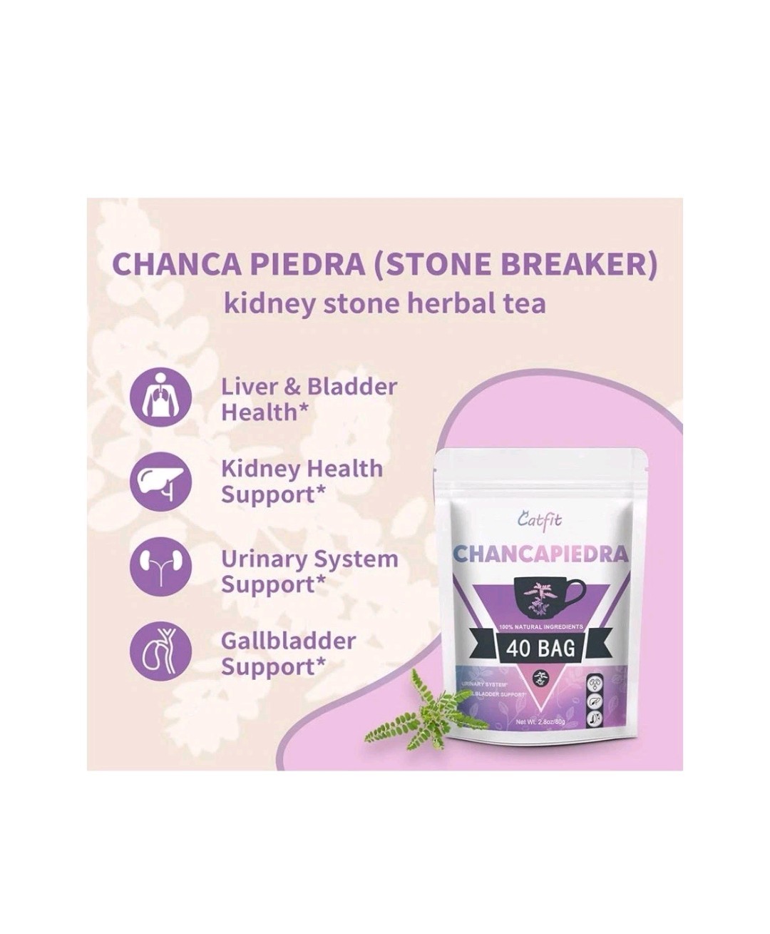 Catfit Chanca Piedra Herbal Tea Bag Dried Chancapiedra Leaves 40 Tea Bags 5/26