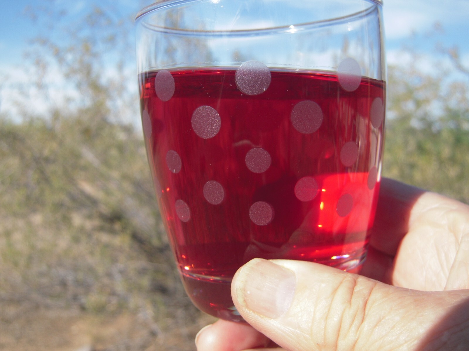 Hibiscus Flower Loose Tea 100% Natural — 2 oz. bag
