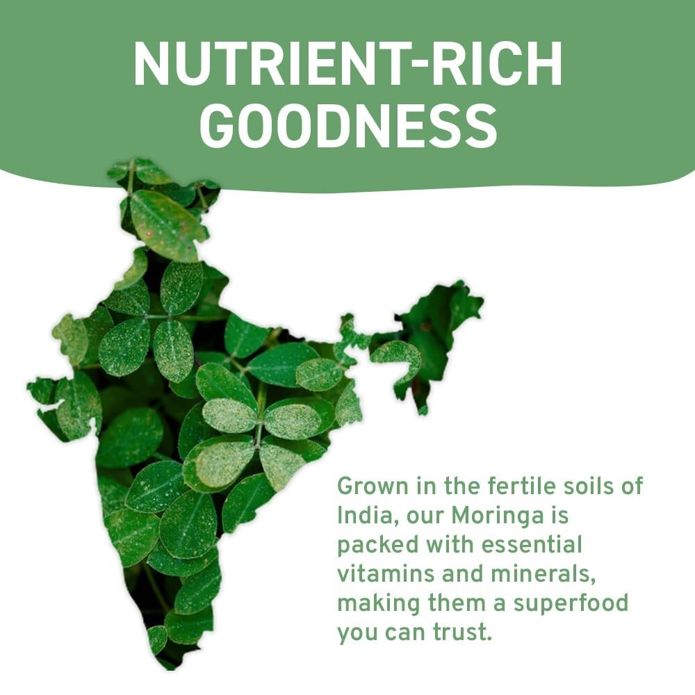 Eco-Friendly Organic Moringa Tea Bags – 100 Count Non-GMO for Healthy Living