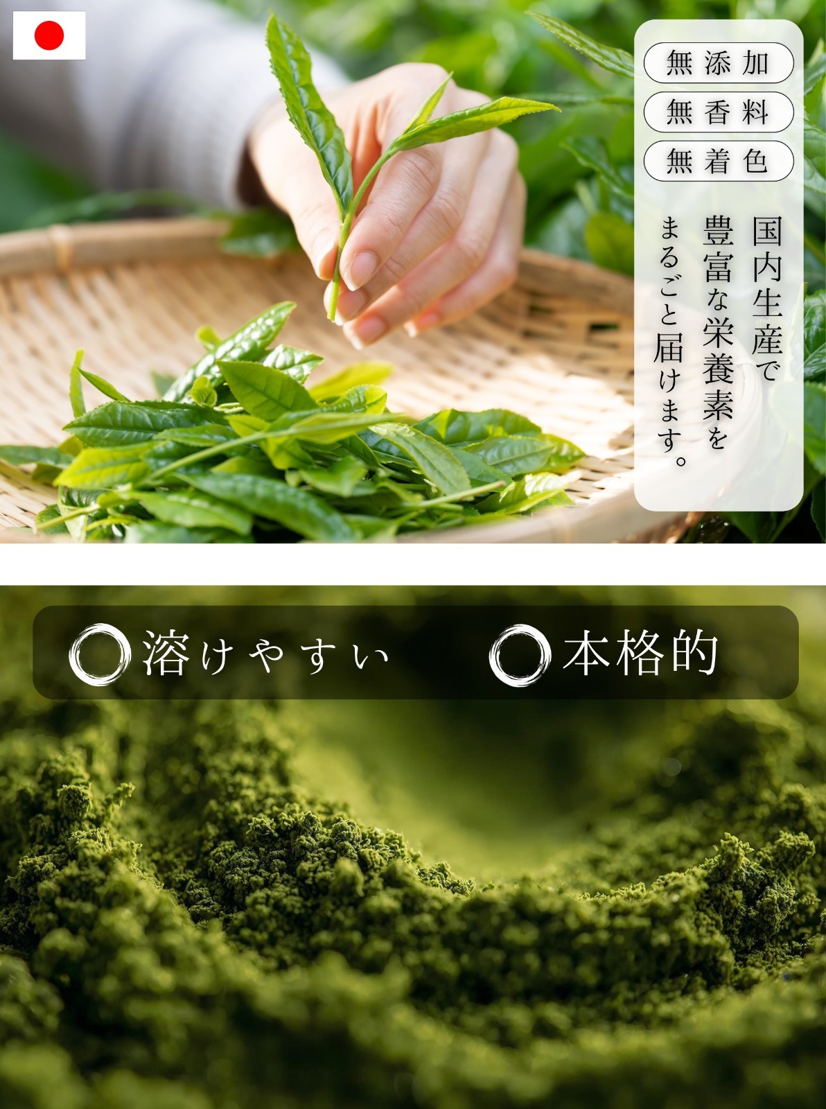 Matcha Powder Deluxe Ceremonial Pure Green Tea Powder LowCaffein 300g -JAPAN