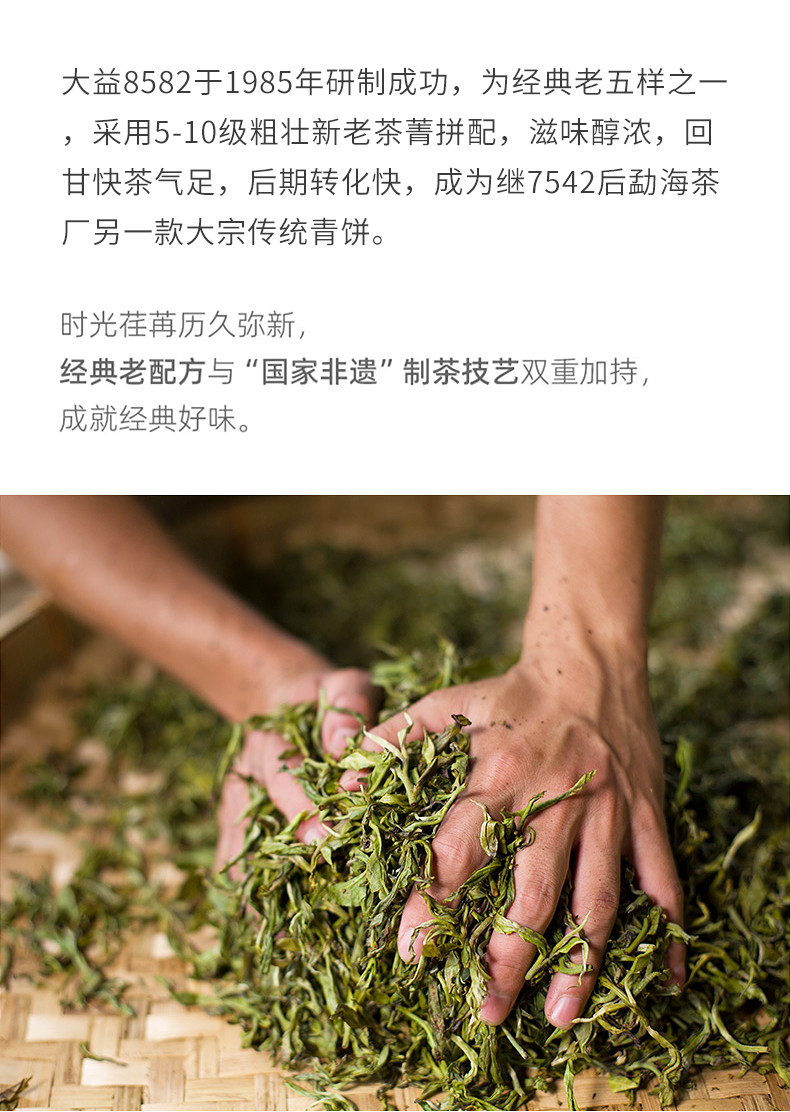 Menghai Tea Factory 2008 8582 TAETEA Dayi Raw Pu-erh Tea Cake 357g