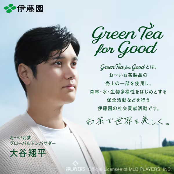 Japanese Green Tea Bags 50 pcs Ito En Oi Ocha Premium, Uji Matcha Blended Sencha