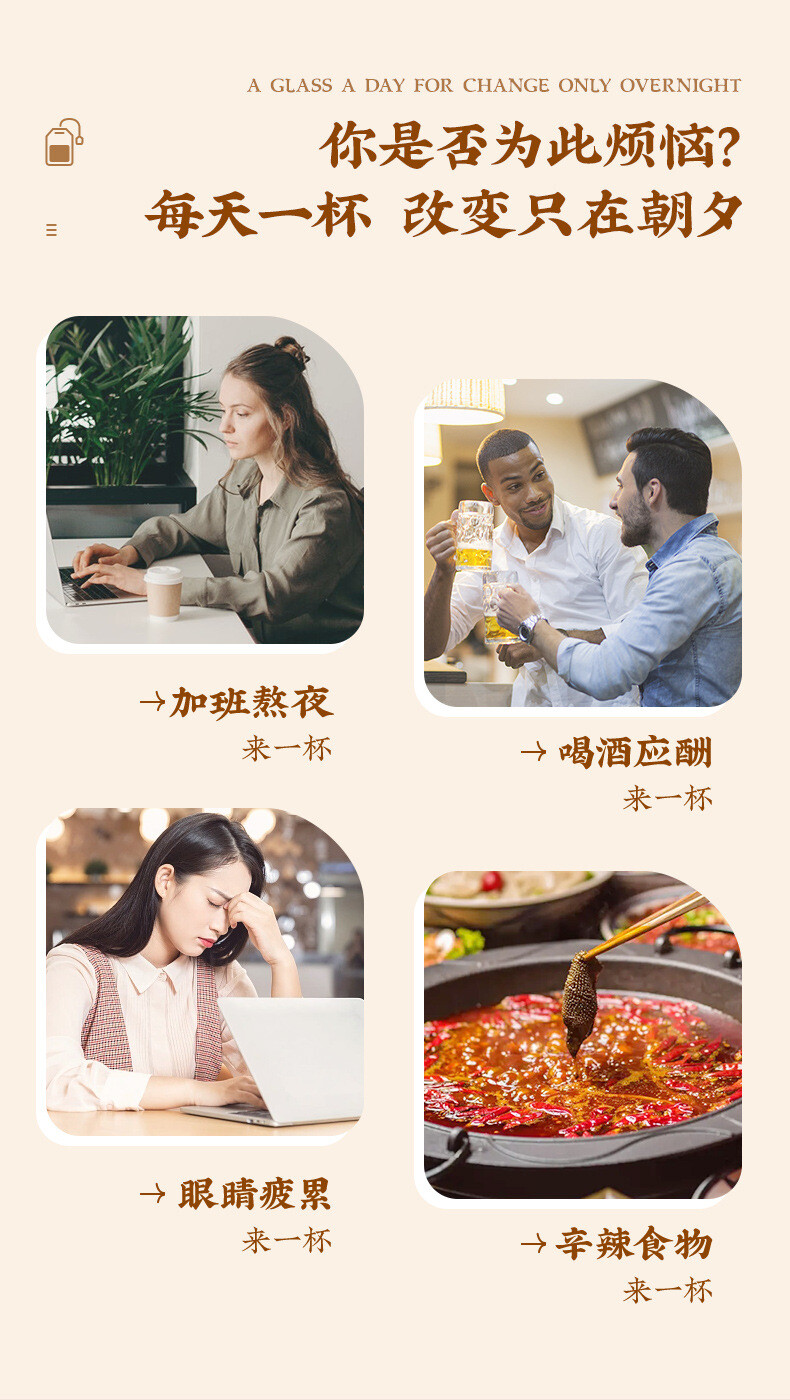 Chrysanthemum Cassia Seed Honeysuckle Burdock Root Herbal Tea