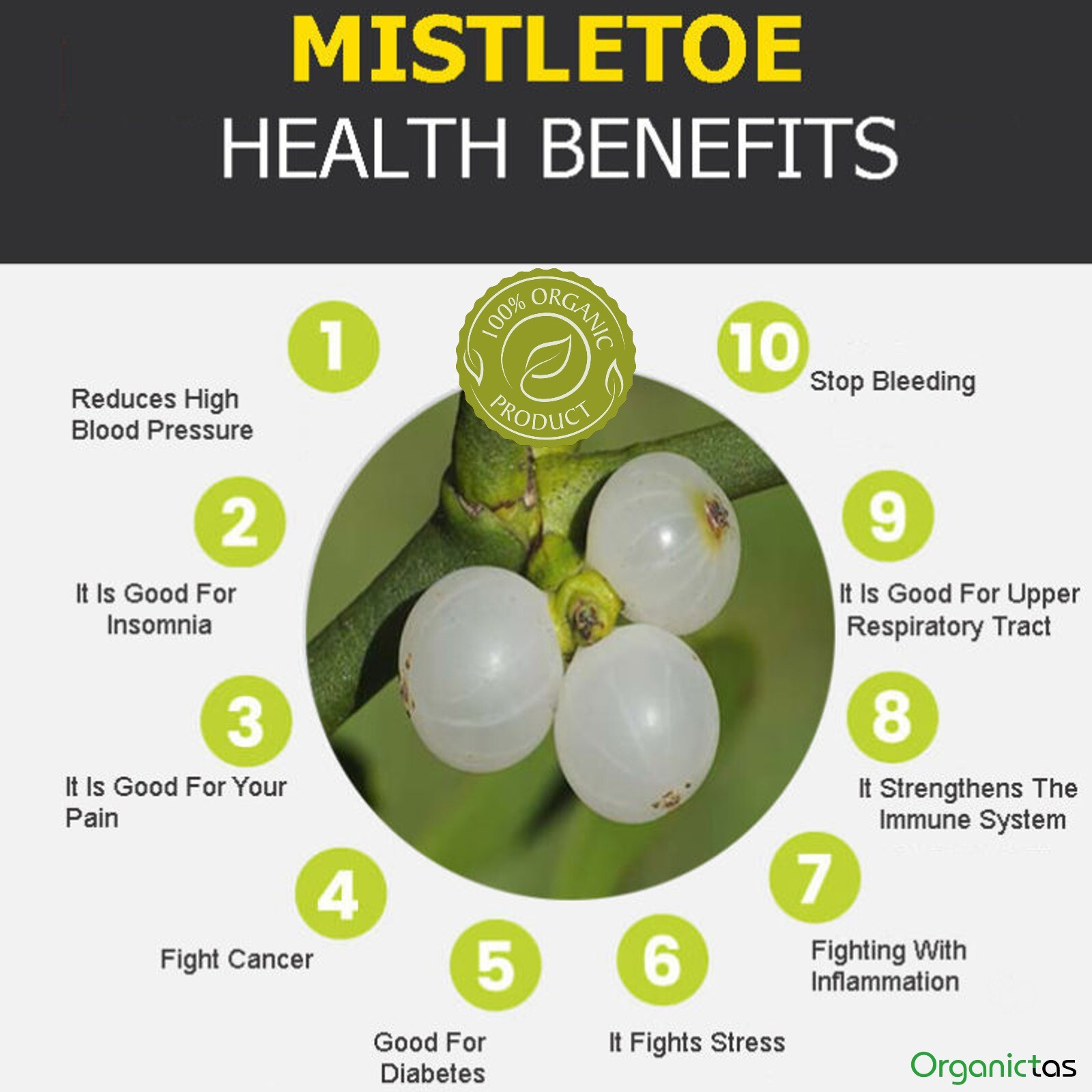 Organic Mistletoe Tea Wildcrafted Preservatives-Free Premium Quality Herbal Tea