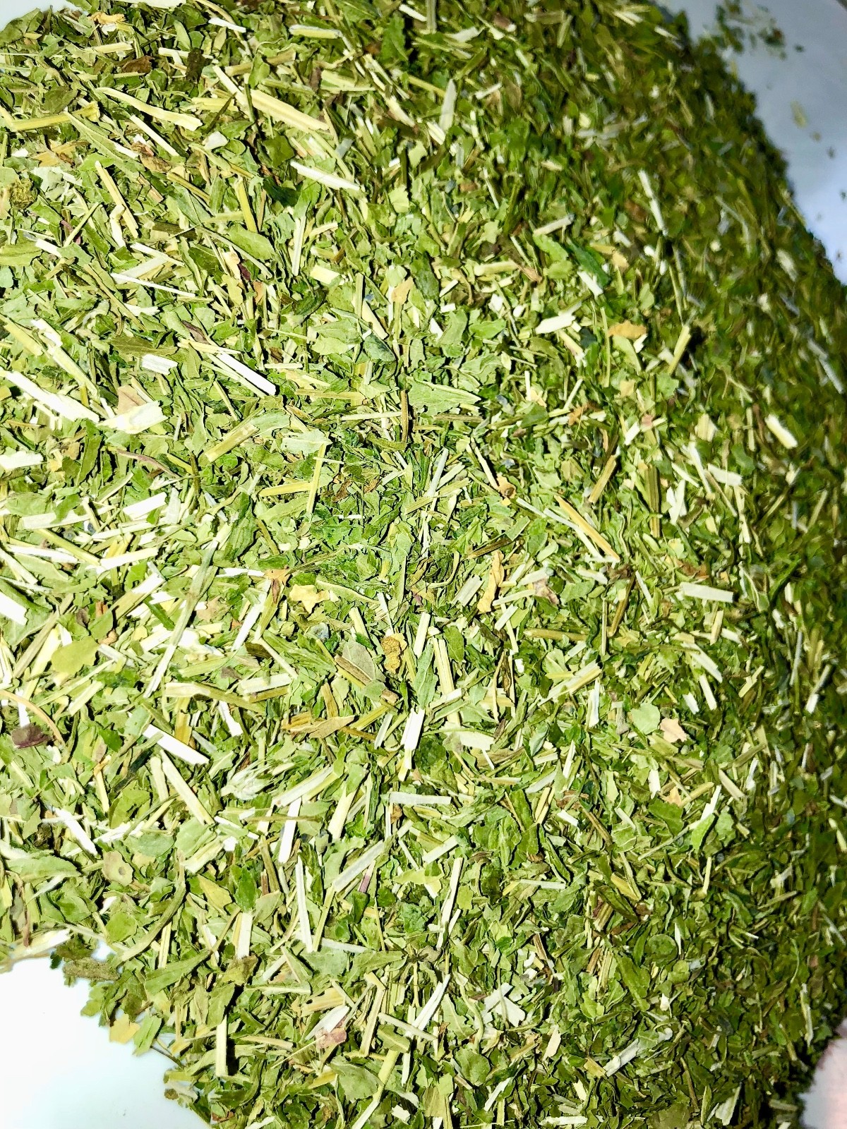 CO Skullcap Certified Organic Herb Leaf Mad Dog Weed Spice Discounters