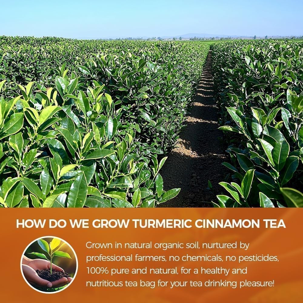 70 Count Premium Turmeric Ginger Cinnamon lemon Tea Bags 100% Natural HighCo…