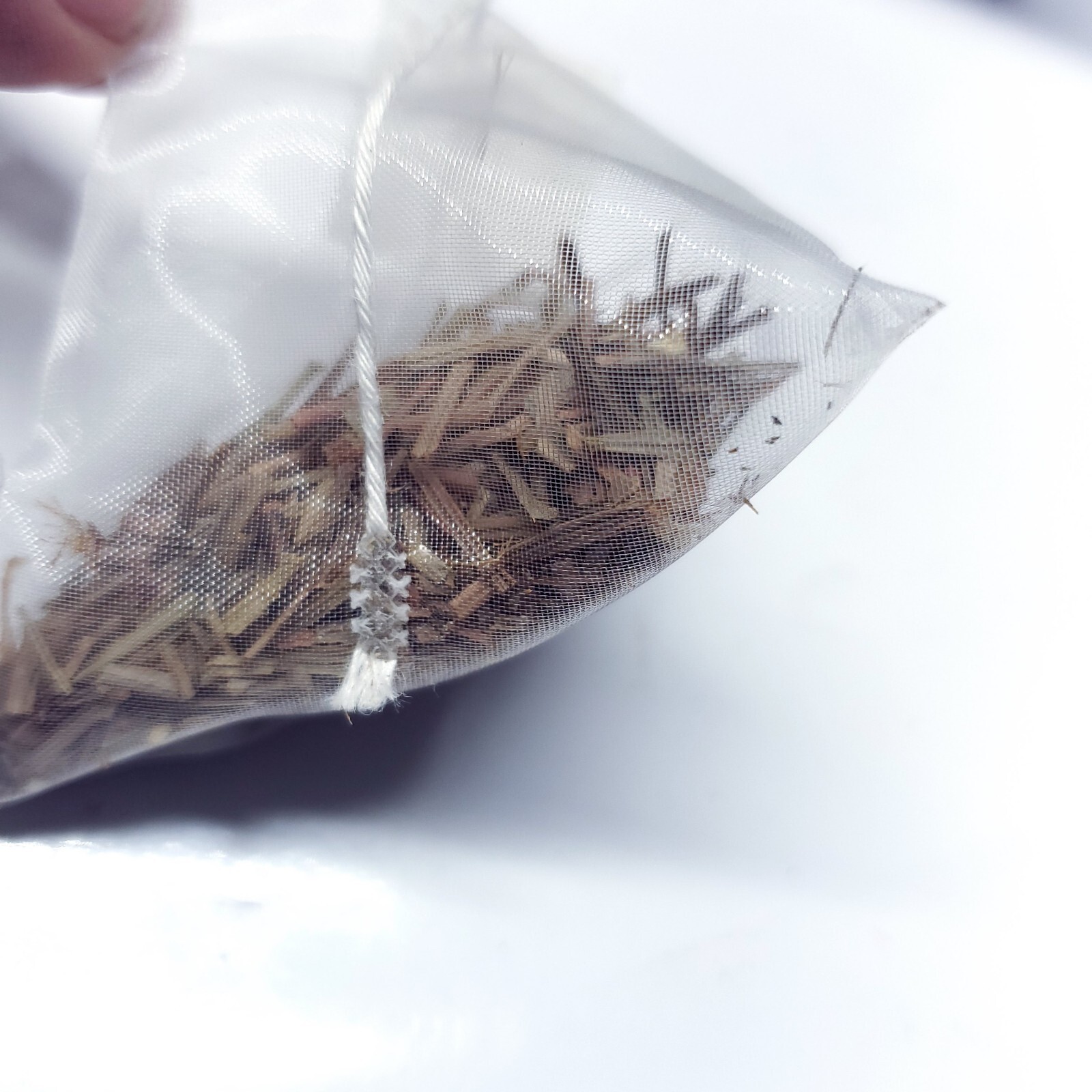 Pine Needle Tea Bags (99 Tea Bags Total)