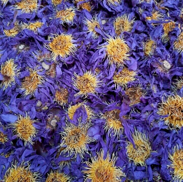 180g Dried Blue Lotus Flower Nymphaea Caerulea Natural Hand Picked Flower Herbal
